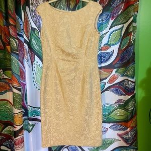 Ralph Lauren dress size 8 like new